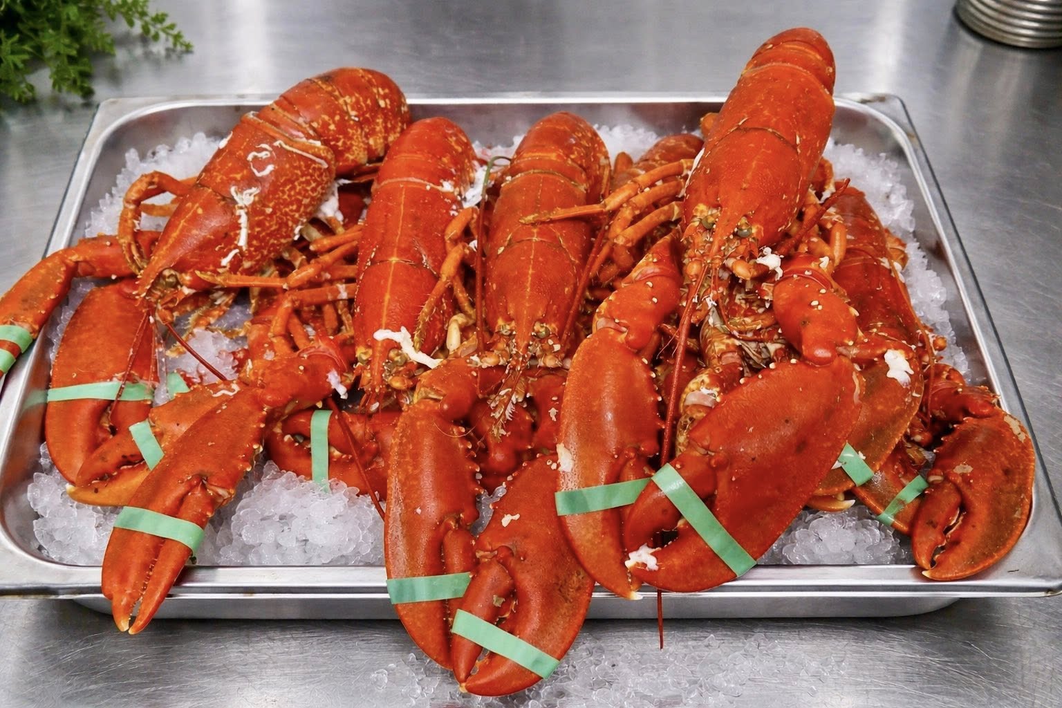 Fresh seafood & sea views